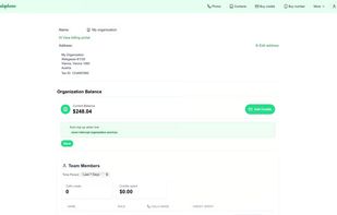 One balance for the whole organization