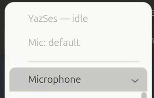 YazSes screenshot 2