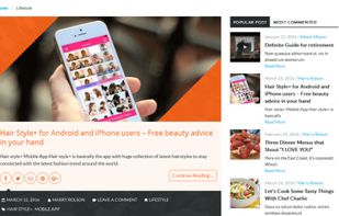 Ybrant WordPress Theme screenshot 3