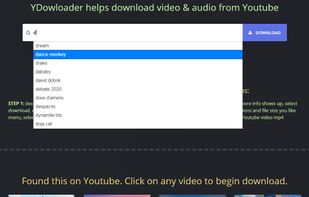 search with suggestions of popular tags