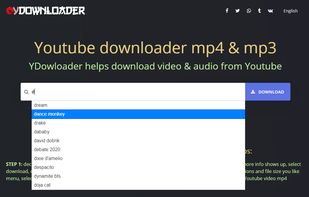 Ydownloader screenshot 1
