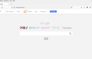 Yelliot Web Search engine