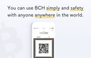 Yenom - Bitcoin Cash Wallet screenshot 3
