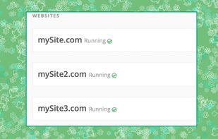 Backup all your websites