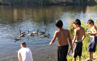 YouConv - YouTube to MP3 Converter screenshot 1