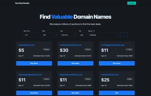 Your Next Domain Demo