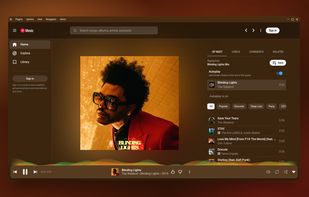 Now playing view with album color theme and player waves