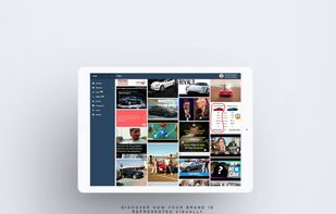 YouScan screenshot 1