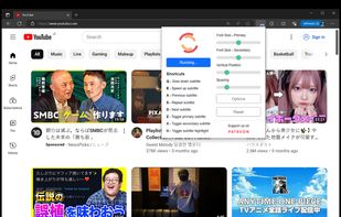Youtube Bilingual Subtitles screenshot 1