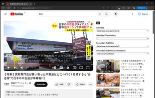 Youtube Bilingual Subtitles screenshot 2