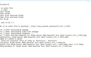 Youtube-dlBatch screenshot 1
