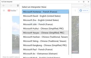YouTube Interpreter screenshot 3