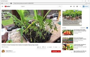 YouTube Interpreter screenshot 2
