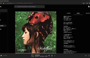 YouTube Music Desktop Player screenshot 1