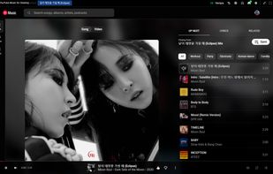 Player View