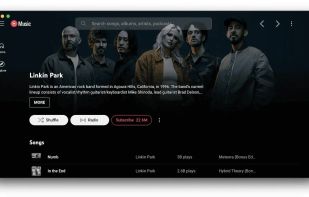 Pear Desktop screenshot 1