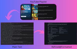 YouTube Playlist Processor screenshot 1