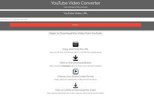 YouTube Video Converter screenshot 1
