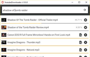 YoutubeDownloader screenshot 1