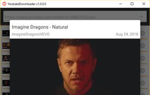 YoutubeDownloader screenshot 1