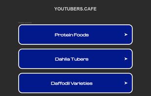 YouTubers Cafe screenshot 1