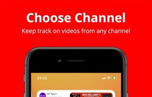 YouWidget screenshot 1