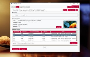 Professional mode showing format information before downloading