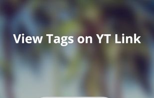 YT Tag fo Youtube screenshot 2