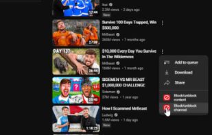 YTBlock screenshot 1