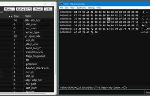 Explore C structures with Struct View