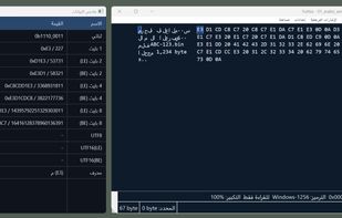 Right-to-left language support — Arabic shown