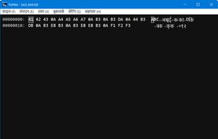 Extensive encoding support — ISCII (Devanagari) shown
