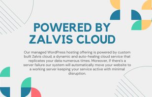Zalvis.com screenshot 2