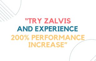 Zalvis.com screenshot 1