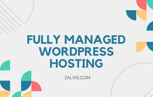 Zalvis.com screenshot 1