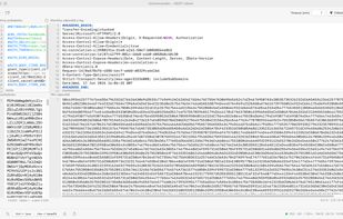 Built-in REST client with projects, history and formatted responses