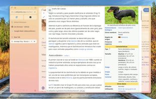 Zen Browser screenshot 3