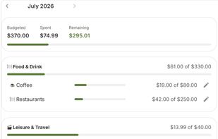Set Budgets or Goals for each categories