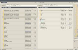 Dual pane with tabs, folder tree and favorites