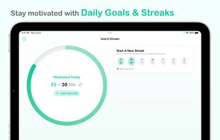 Zenitizer screenshot 3