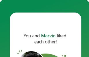 Zenzephyr screenshot 3