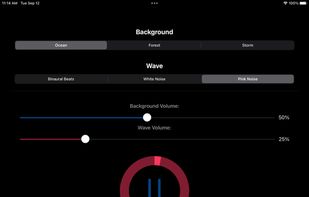ZenZest screenshot 2