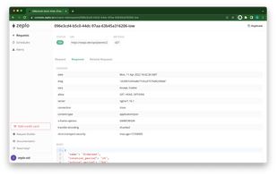 View the full details of every request and response including headers and body.