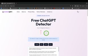 ZeroGPT Sample Human Input Image