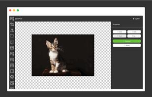 ZeroPixel screenshot 2