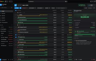 Zerosum Budget screenshot 1