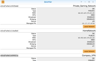 ZeroTier screenshot 1