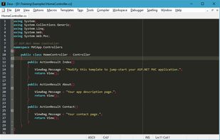 Zeus IDE screenshot 1