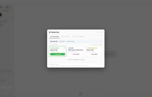 Model Hub where users can download any open-source model locally.