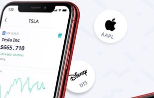 Zinvest screenshot 1